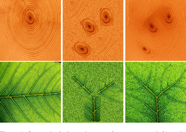 Figure 1 for Generating Non-Stationary Textures using Self-Rectification