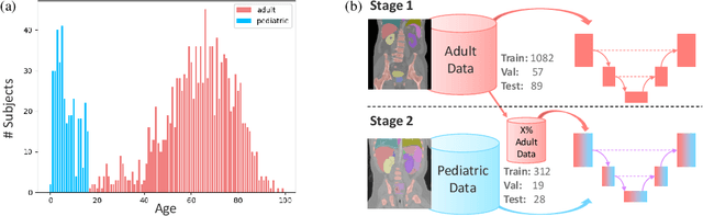 Figure 1 for Unlocking Robust Segmentation Across All Age Groups via Continual Learning