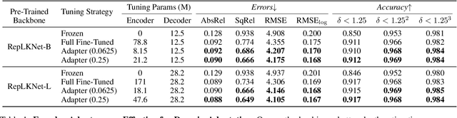 Figure 2 for PPEA-Depth: Progressive Parameter-Efficient Adaptation for Self-Supervised Monocular Depth Estimation