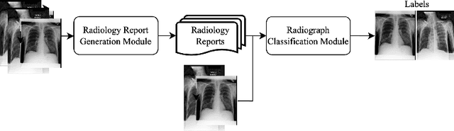 Figure 1 for CRRG-CLIP: Automatic Generation of Chest Radiology Reports and Classification of Chest Radiographs