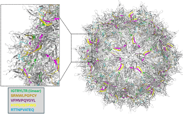 Figure 1 for epiGPTope: A machine learning-based epitope generator and classifier