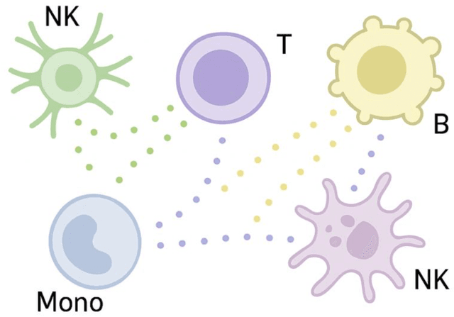 Figure 1 for Clustering with Communication: A Variational Framework for Single Cell Representation Learning