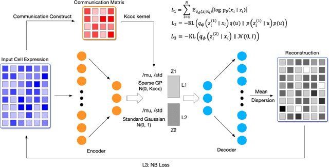 Figure 2 for Clustering with Communication: A Variational Framework for Single Cell Representation Learning