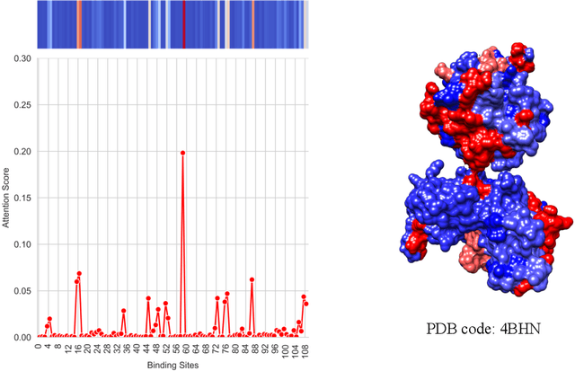 Figure 4 for FragXsiteDTI: Revealing Responsible Segments in Drug-Target Interaction with Transformer-Driven Interpretation