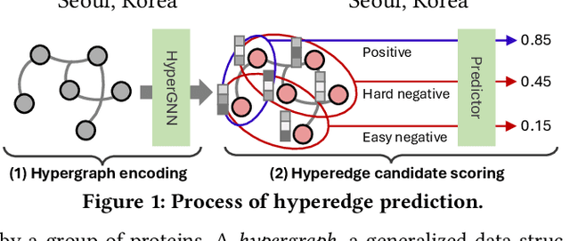 Figure 1 for HyGEN: Regularizing Negative Hyperedge Generation for Accurate Hyperedge Prediction