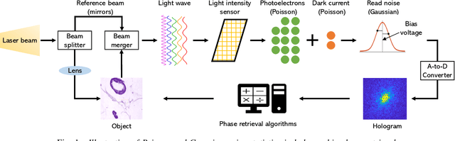 Figure 1 for AWFSD: Accelerated Wirtinger Flow with Score-based Diffusion Image Prior for Poisson-Gaussian Holographic Phase Retrieval