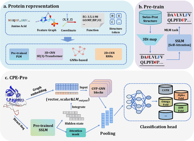 Figure 1 for CPE-Pro: A Structure-Sensitive Deep Learning Model for Protein Representation and Origin Evaluation