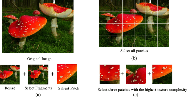 Figure 3 for Assessing UHD Image Quality from Aesthetics, Distortions, and Saliency