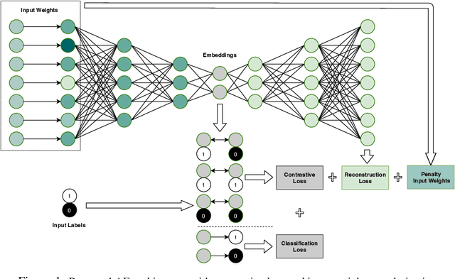 Figure 1 for ReConTab: Regularized Contrastive Representation Learning for Tabular Data