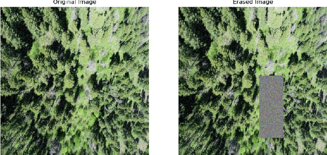 Figure 4 for Enhancing Tree Type Detection in Forest Fire Risk Assessment: Multi-Stage Approach and Color Encoding with Forest Fire Risk Evaluation Framework for UAV Imagery