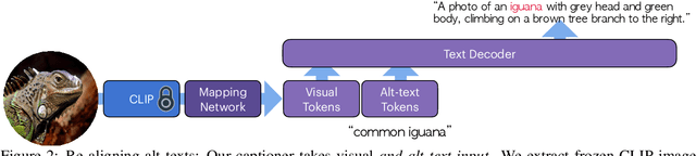 Figure 3 for Altogether: Image Captioning via Re-aligning Alt-text