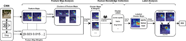 Figure 1 for Interpretable Network Visualizations: A Human-in-the-Loop Approach for Post-hoc Explainability of CNN-based Image Classification