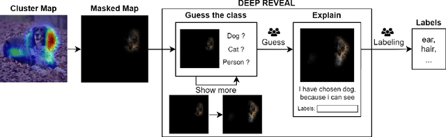 Figure 3 for Interpretable Network Visualizations: A Human-in-the-Loop Approach for Post-hoc Explainability of CNN-based Image Classification