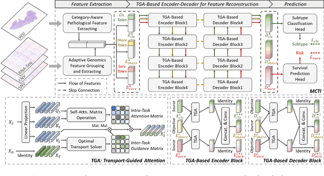 Figure 1 for Multimodal Cross-Task Interaction for Survival Analysis in Whole Slide Pathological Images