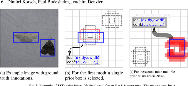 Figure 2 for Deep Learning Pipeline for Automated Visual Moth Monitoring: Insect Localization and Species Classification