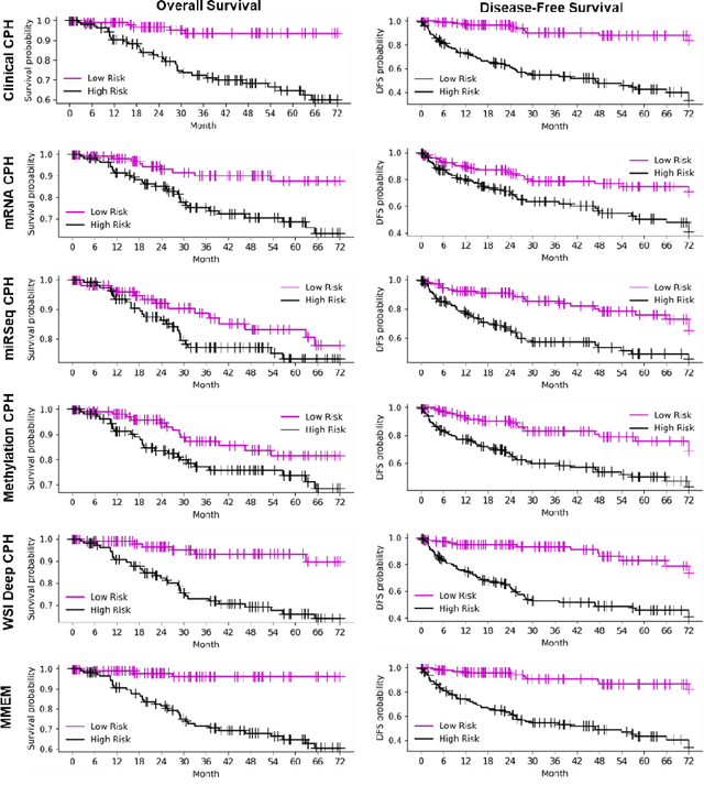 Figure 4 for A multimodal ensemble approach for clear cell renal cell carcinoma treatment outcome prediction