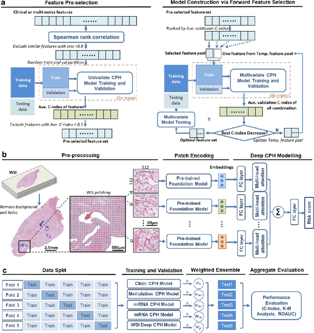 Figure 2 for A multimodal ensemble approach for clear cell renal cell carcinoma treatment outcome prediction