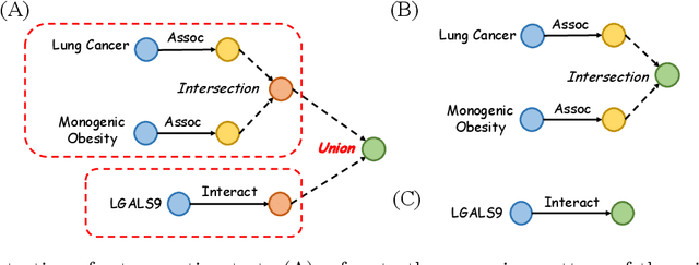 Figure 4 for CLR-Fact: Evaluating the Complex Logical Reasoning Capability of Large Language Models over Factual Knowledge