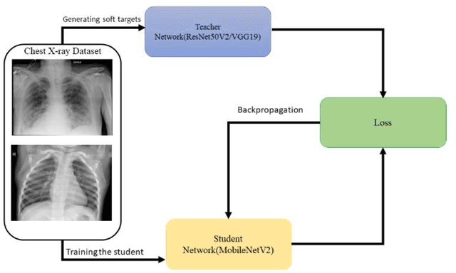 Figure 3 for Designing an Improved Deep Learning-based Model for COVID-19 Recognition in Chest X-ray Images: A Knowledge Distillation Approach