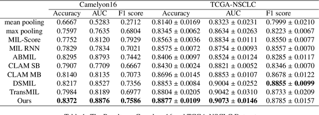 Figure 2 for The Whole Pathological Slide Classification via Weakly Supervised Learning