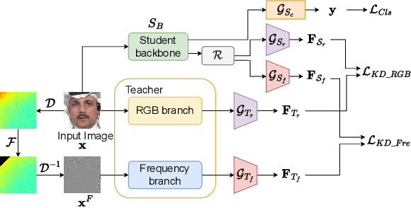 Figure 3 for Two-in-one Knowledge Distillation for Efficient Facial Forgery Detection