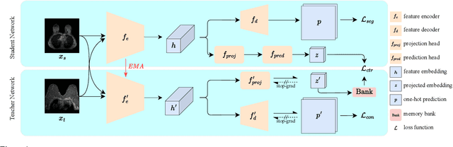 Figure 2 for MSCDA: Multi-level Semantic-guided Contrast Improves Unsupervised Domain Adaptation for Breast MRI Segmentation in Small Datasets