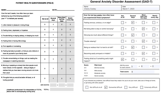 Figure 1 for Large Language Models for Mental Health Diagnostic Assessments: Exploring The Potential of Large Language Models for Assisting with Mental Health Diagnostic Assessments -- The Depression and Anxiety Case