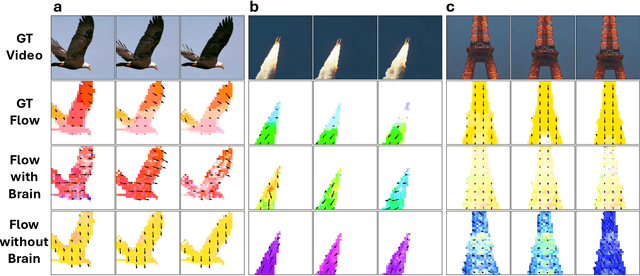 Figure 4 for Neural Representations of Dynamic Visual Stimuli