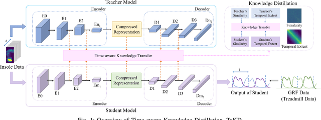 Figure 1 for Ground Reaction Force Estimation via Time-aware Knowledge Distillation