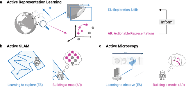 Figure 1 for Open Problem: Active Representation Learning