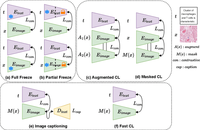 Figure 1 for Benchmarking Vision-Language Contrastive Methods for Medical Representation Learning