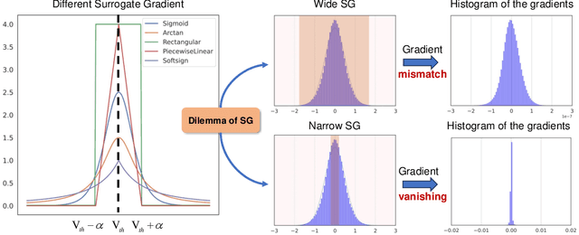 Figure 1 for Directly Training Temporal Spiking Neural Network with Sparse Surrogate Gradient