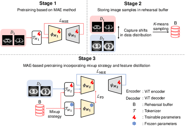 Figure 1 for Continual Self-supervised Learning Considering Medical Domain Knowledge in Chest CT Images