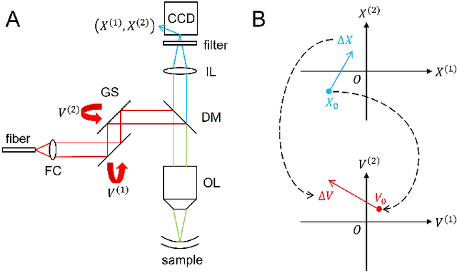 Figure 4 for Deep Learning Guided Autonomous Retinal Surgery using a Robotic Arm, Microscopy, and iOCT Imaging