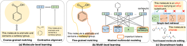 Figure 1 for FineMolTex: Towards Fine-grained Molecular Graph-Text Pre-training