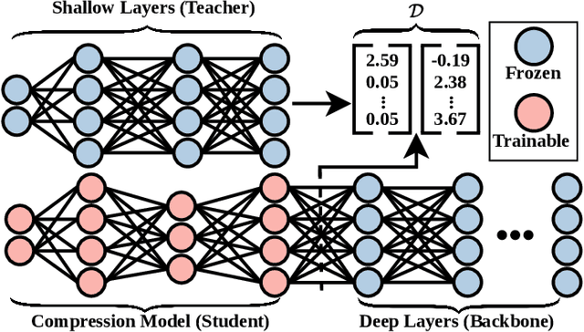 Figure 1 for Adversarial Robustness of Bottleneck Injected Deep Neural Networks for Task-Oriented Communication