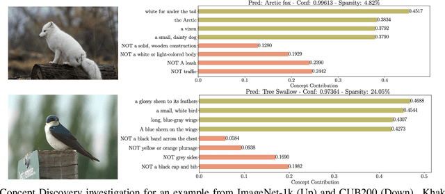 Figure 3 for Sparse Linear Concept Discovery Models