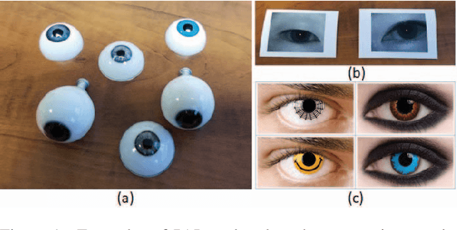 Figure 1 for Iris Presentation Attack: Assessing the Impact of Combining Vanadium Dioxide Films with Artificial Eyes