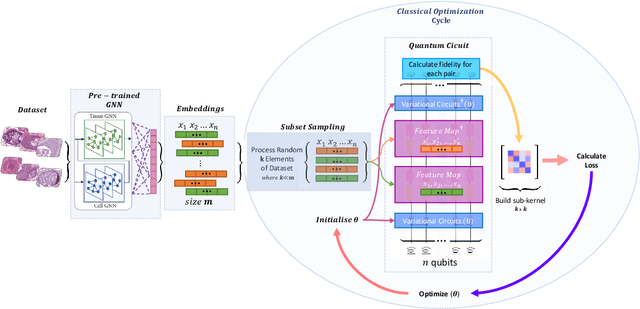 Figure 2 for Efficient Parameter Optimisation for Quantum Kernel Alignment: A Sub-sampling Approach in Variational Training