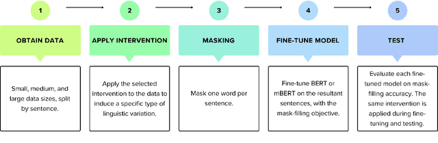 Figure 1 for We're Calling an Intervention: Taking a Closer Look at Language Model Adaptation to Different Types of Linguistic Variation