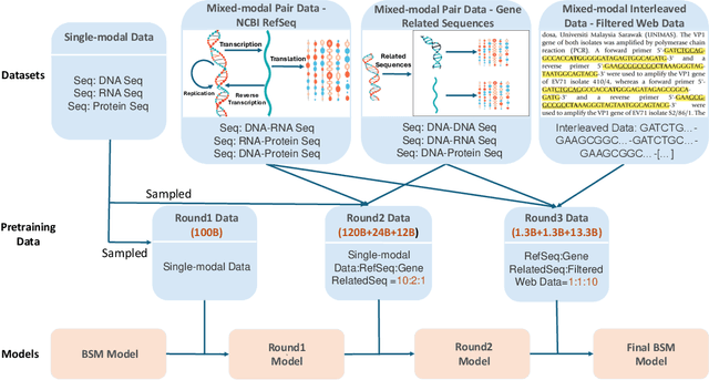 Figure 3 for BSM: Small but Powerful Biological Sequence Model for Genes and Proteins