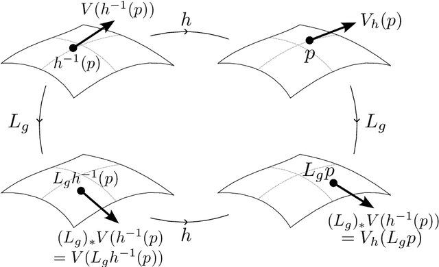 Figure 3 for Equivariant Manifold Neural ODEs and Differential Invariants