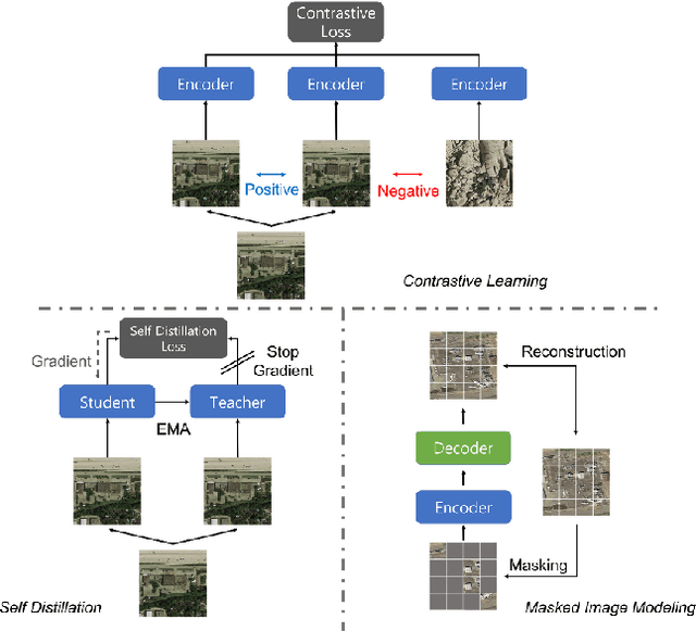 Figure 2 for A Billion-scale Foundation Model for Remote Sensing Images