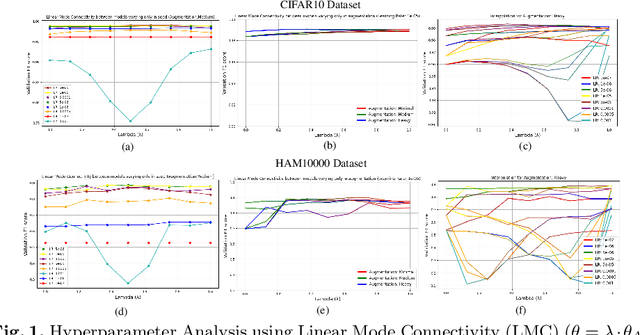 Figure 4 for FissionFusion: Fast Geometric Generation and Hierarchical Souping for Medical Image Analysis