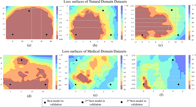 Figure 1 for FissionFusion: Fast Geometric Generation and Hierarchical Souping for Medical Image Analysis