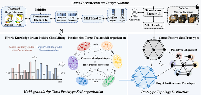 Figure 3 for Multi-Granularity Class Prototype Topology Distillation for Class-Incremental Source-Free Unsupervised Domain Adaptation