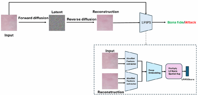 Figure 3 for Unsupervised Fingerphoto Presentation Attack Detection With Diffusion Models