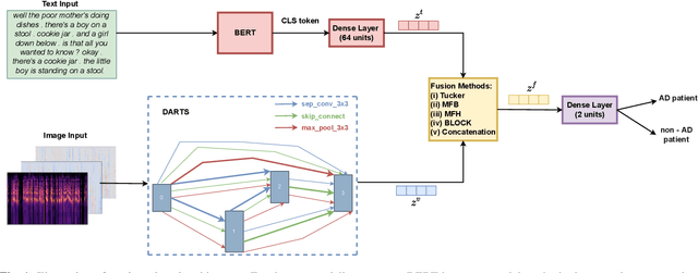 Figure 1 for Neural Architecture Search with Multimodal Fusion Methods for Diagnosing Dementia