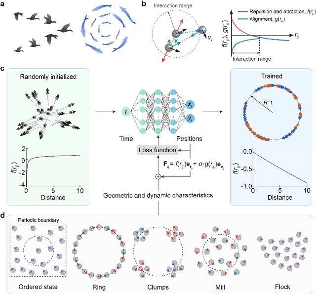 Figure 1 for Navigating the swarm: Deep neural networks command emergent behaviours