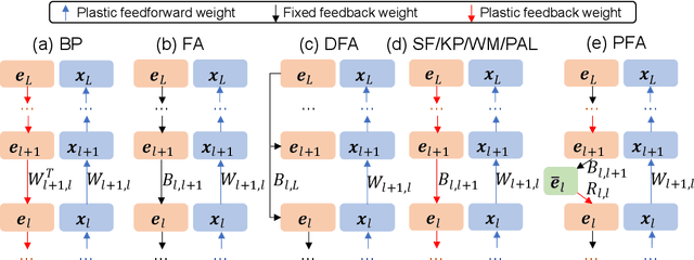 Figure 2 for Deep Learning without Weight Symmetry